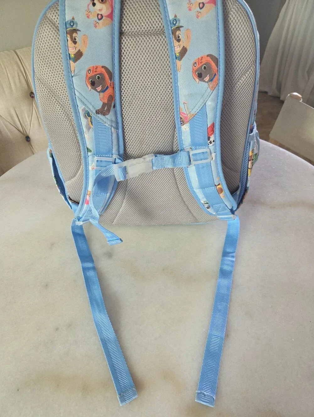 Pottery Barn Kids PAW Patrol™ Mackenzie Backpack, Size Small